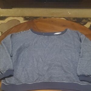 American Eagle Outfitters Blue and White Striped Sweatshirt